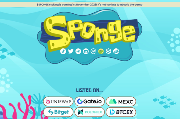 Sponge-Cover