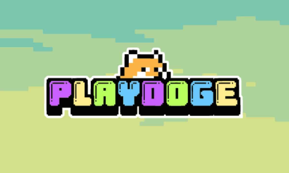 PlayDoge sammelt 200.000 US-Dollar im Vorverkauf, kann es Floki Inu herausfordern?